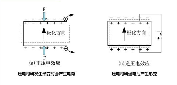 压电催化实验原理