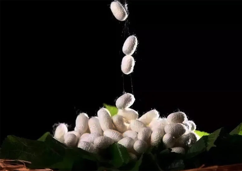丝织品修复清洗超声波清洗机应用