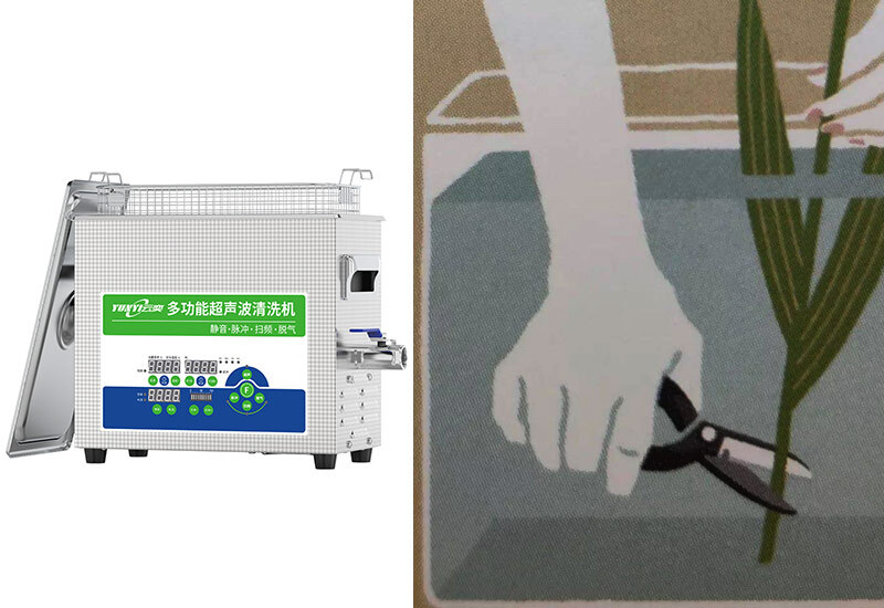 超声波清洗机对花植保鲜的作用