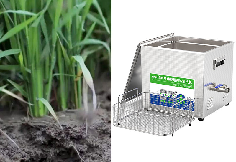 种子用超声波清洗机的作用