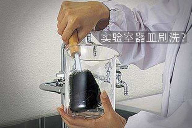 实验室器皿烧杯的高效清洗——超声波清洗应用