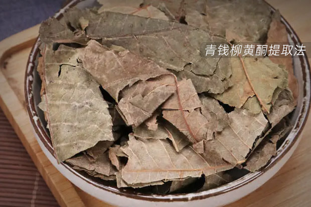 超声波清洗技术——助力提升青钱柳黄酮提取获得效率
