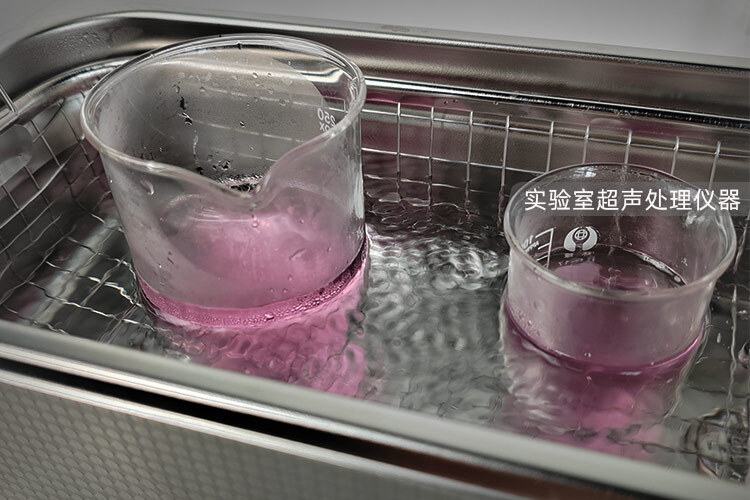 实验室超声处理的仪器是什么